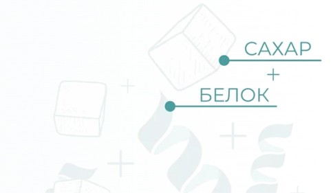 Сахар и белок
