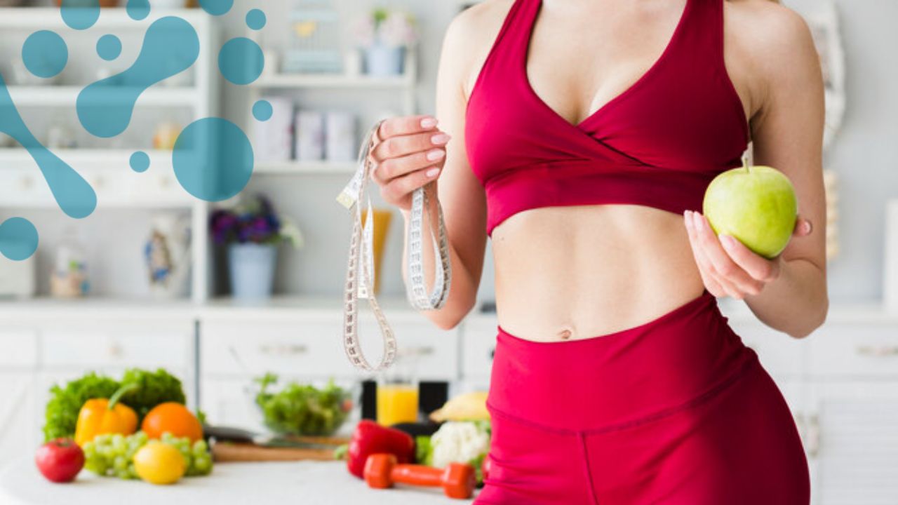 Похудение при помощи гарвардской тарелки