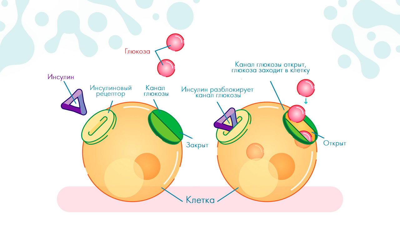 инсулинорезистентность инсулинорезистентность
