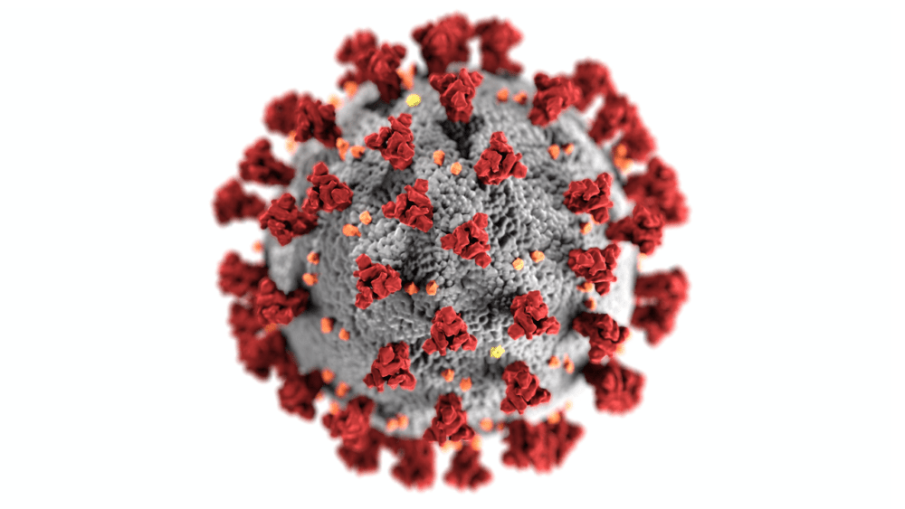 вирус гриппа